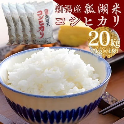 【令和7年産】新潟産コシヒカリ瓢湖米 20kg