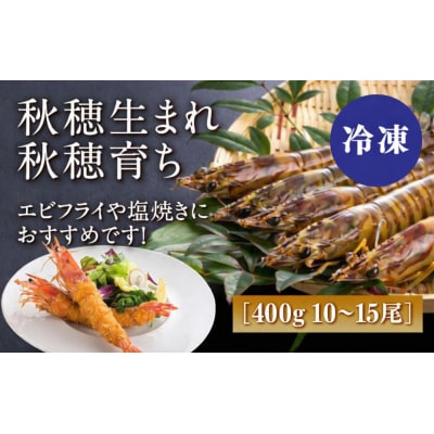 秋穂産活き〆冷凍車海老(あいおえび)400g(10～15尾)【養殖】D623