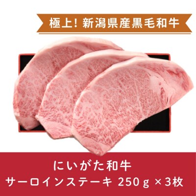 にいがた和牛 サーロインステーキ 250g×3枚 にいがた和牛 黒毛和牛