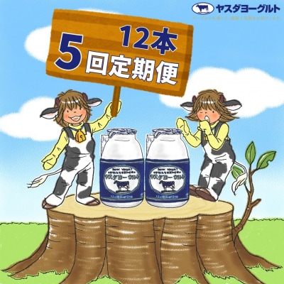 【5ヶ月定期便】ヤスダヨーグルト　150g×12本
