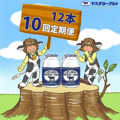 【10ヶ月定期便】ヤスダヨーグルト 150g×12本