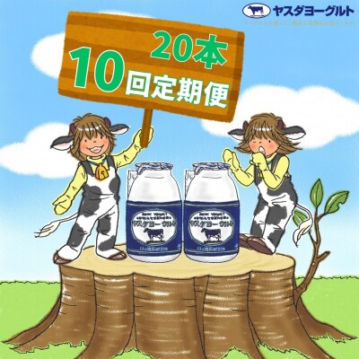 【10ヶ月定期便】ヤスダヨーグルト 　150g×20本