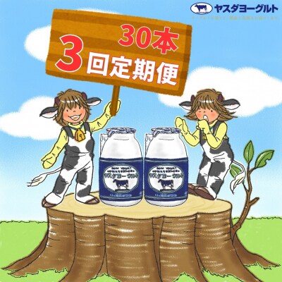 【3ヶ月定期便】ヤスダヨーグルト 　150g×30本