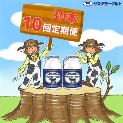 【10ヶ月定期便】ヤスダヨーグルト 　150g×30本