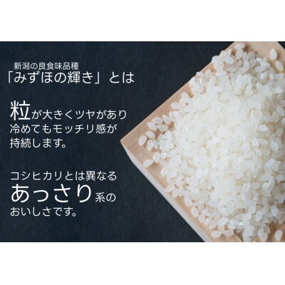 【3ヶ月定期便】 パックご飯 新潟県阿賀野市産みずほの輝き 150g×36食×3回