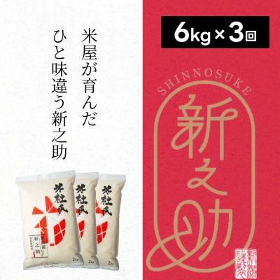 【令和7年産】【 3ヶ月定期便】米杜氏 阿賀野市産 新之助 6kg (2kg×3袋)×3回