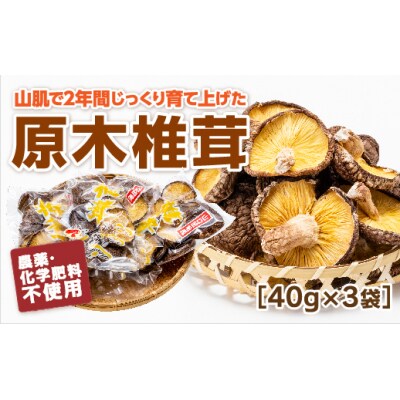 山口徳地産原木栽培乾しいたけ40g×3袋 E136