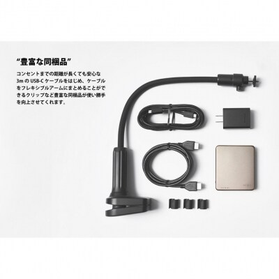 【川崎市ふるさと納税限定モデル】ベッドルームプロジェクターNX1 シャンパンゴールド