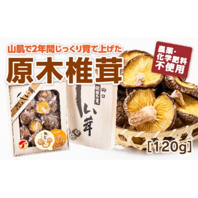 山口徳地産原木栽培乾しいたけ120g D626