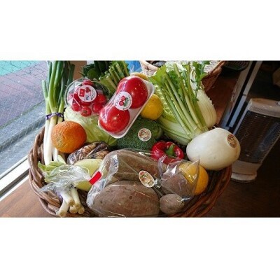 ぶちうま!山口の新鮮お野菜BOX D631