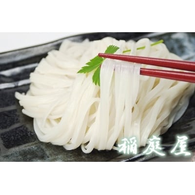 稲庭屋いなにわうどん　1人前×20袋　めんつゆ付[B8-06005]