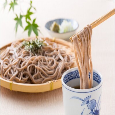 稲庭古来そば　40人前(160g×20袋)[B8-14006]
