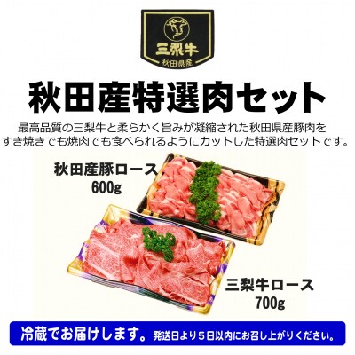 秋田産特選肉セット　8～10人前[N6-16002]
