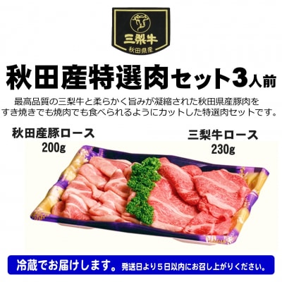 秋田産特選肉セット　3人前[B8-16001]