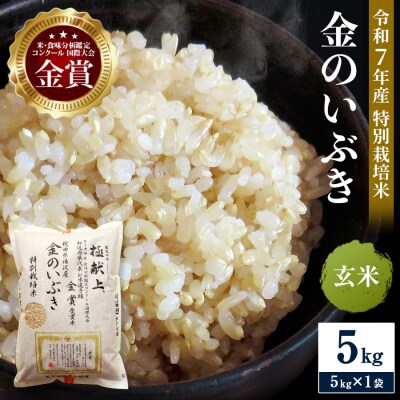 【令和7年産米 冷めても美味しい玄米】特別栽培米 金のいぶき 5kg[H2-21002]