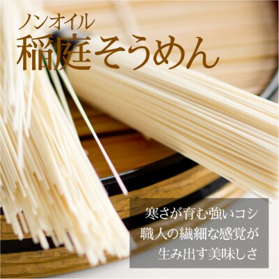 稲庭そうめんチャック袋入800g(約10人前)[M129005]