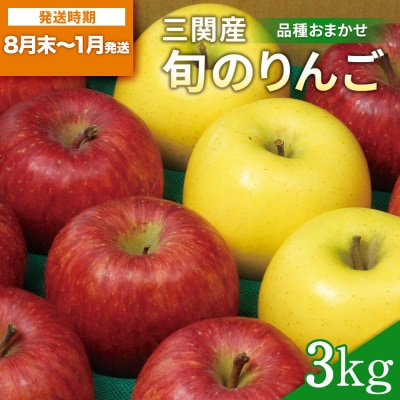 三関産 旬のりんご 秀品 3kg[B151023]