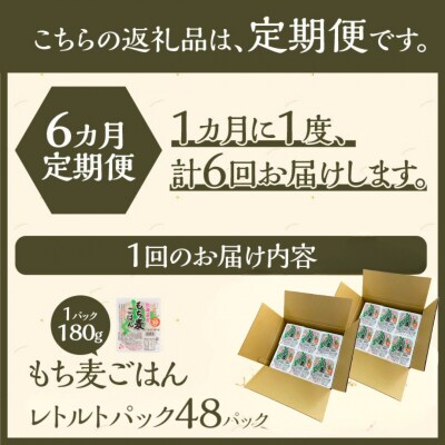 6カ月連続お届け【ごはんで腸活】もち麦ごはんレトルト48パック-
