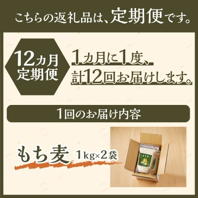 【豊富な食物繊維】もち麦12ヶ月連続お届け-