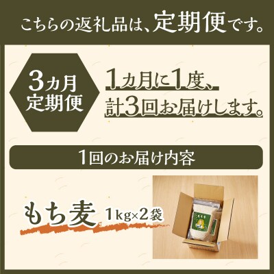 【豊富な食物繊維】もち麦3ヶ月連続お届け-