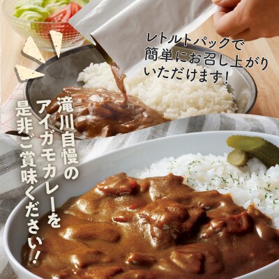 【北海道滝川産あいがも肉使用】アイガモカレー! (6食)-