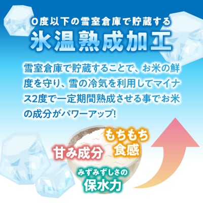 【氷温熟成】ゆめぴりかのパックごはん 24食-