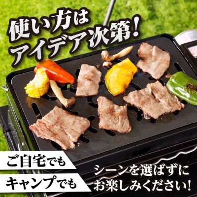 【純国産黒皮鉄板】まどか鉄板3号 45-