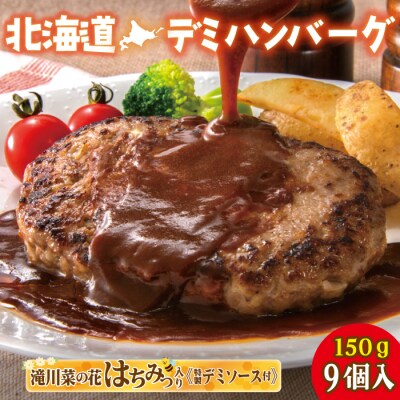 北海道デミハンバーグ1食200g 9セット 北海道 冷凍 個包装 小分け-