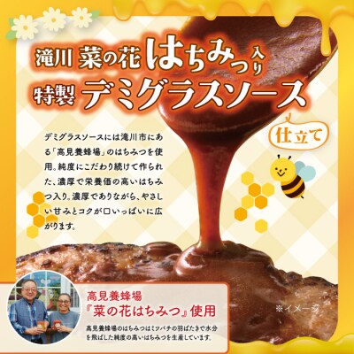 北海道デミハンバーグ1食200g 9セット 北海道 冷凍 個包装 小分け-