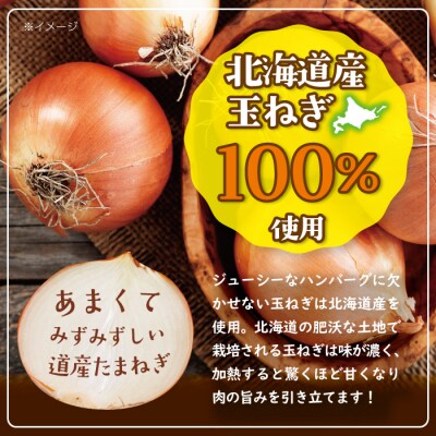 北海道デミハンバーグ1食200g 9セット 北海道 冷凍 個包装 小分け-