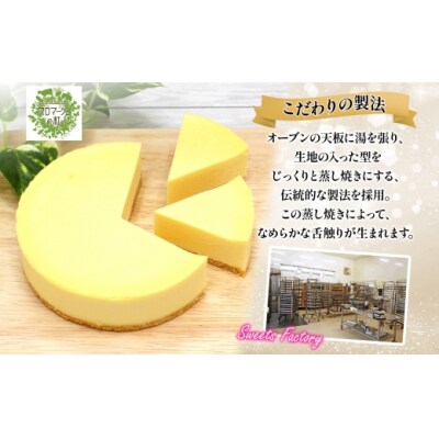【プレミアムケーキ】 NYチーズケーキ 1個 しっとり なめらか 濃厚 お菓子 スイーツ おやつ-