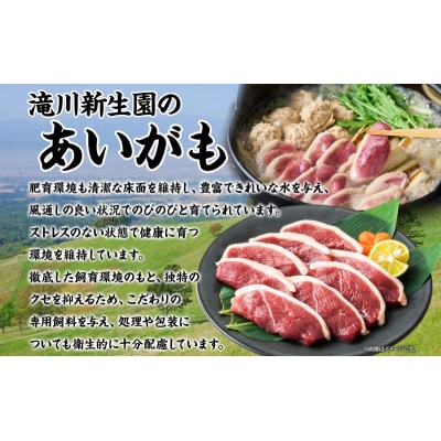 合鴨ももスライスセット 180g×4パック 北海道 カモ かも 鴨肉 カモ肉 もも肉-