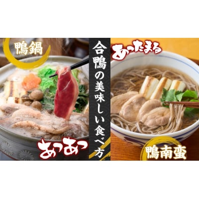 合鴨ももスライスセット 180g×4パック 北海道 カモ かも 鴨肉 カモ肉 もも肉-