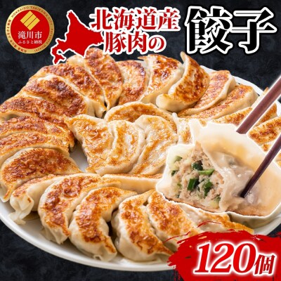 【大容量】北海道産豚肉のぎょうざ 120個!冷凍餃子 ギョーザ 国産 焼餃子 点心 滝川 冷凍食品-