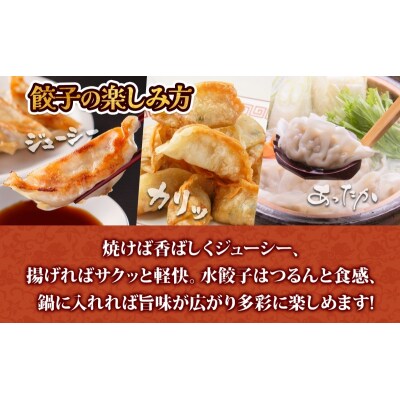 【大容量】北海道産豚肉のぎょうざ 120個!冷凍餃子 ギョーザ 国産 焼餃子 点心 滝川 冷凍食品-