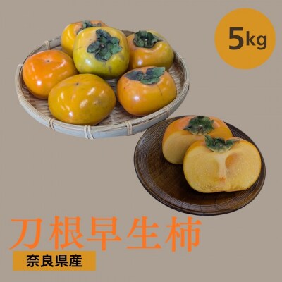 畑中さん家の柿 刀根早生柿 約5kg 種無し 奈良県 三宅町産