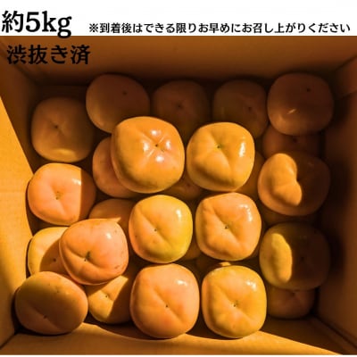 畑中さん家の柿 刀根早生柿 約5kg 種無し 奈良県 三宅町産
