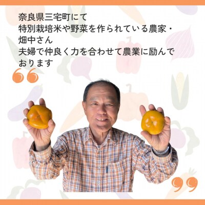 畑中さん家の柿 刀根早生柿 約5kg 種無し 奈良県 三宅町産