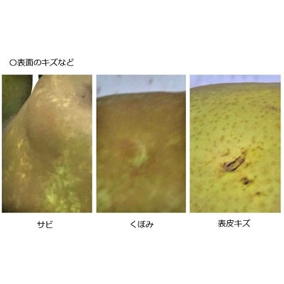西洋梨(ラ・フランス)6kg　大玉　ご家庭用　0009-2613