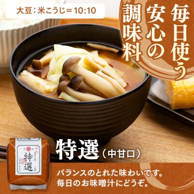 特選みそ 20-B (1kg×10個)