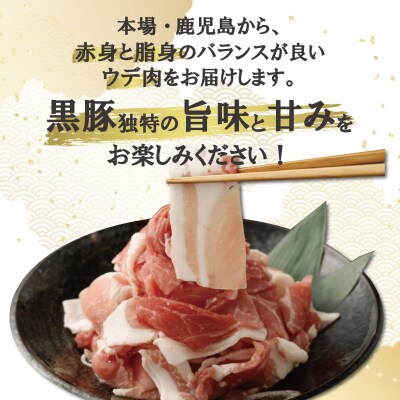 【定期便:12ヶ月】鹿児島県産黒豚切り落とし 合計24kg(2kg×12回) 小分け ss1157