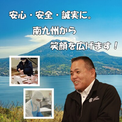 【定期便:12ヶ月】鹿児島県産黒豚切り落とし 合計24kg(2kg×12回) 小分け ss1157