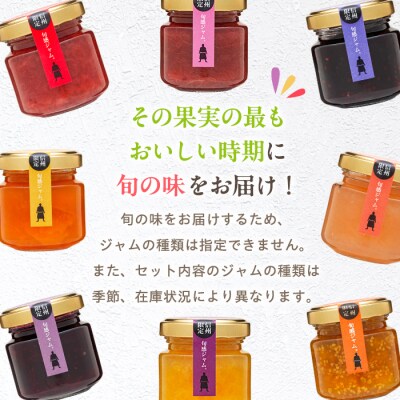 信州の旬感プチジャム8色詰合せ