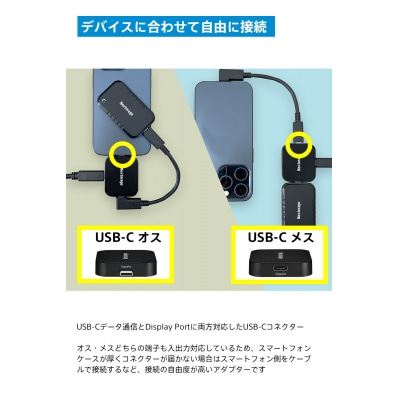 映像出力やデータ転送と同時に給電可能なマルチアダプター NX-PDPA1|PDPアダプター