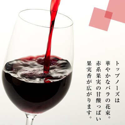 たてしなップル赤ワイン　蓼メルロー2021 　