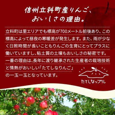立科町産りんごを使用した　自家製アップルパイ 