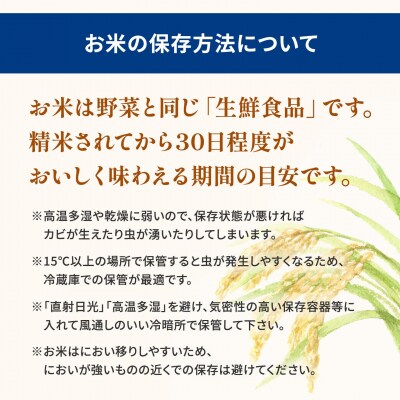 とねさかい〈令和8年10月中旬発送〉5kg 茨城県産 K2631