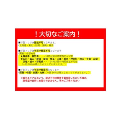 活きあいおえび600g(13～24尾) D708