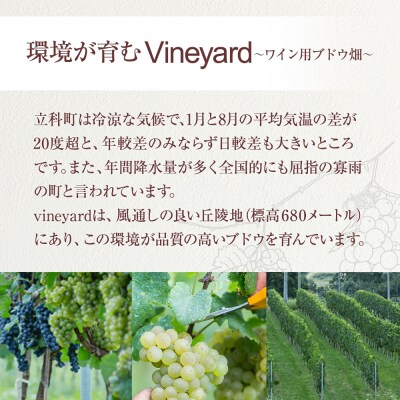 赤ワイン("T")2本セット