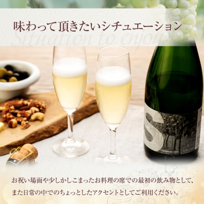 スパークリングワイン("S")2本セット